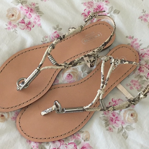 Coach Shoes - Sandals Coach Shoes - Sandals